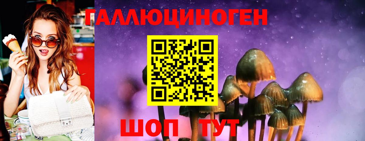 Галлюциногенные грибы прущие грибы Фролово